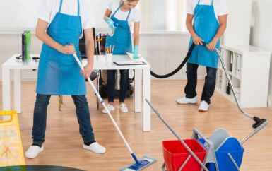 Chicago Lincoln Park Cleaning Service